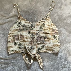 American Eagle Crop Top